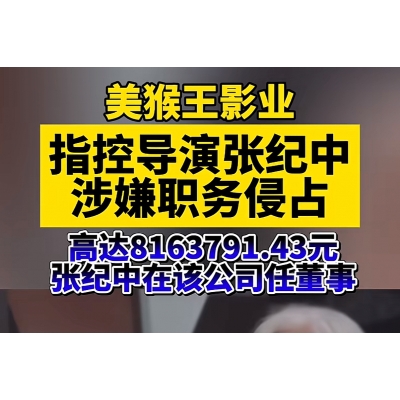 张纪中被控职务侵占816万“罗生门”：一场跨越十年的刑事危机与企业家的必修课