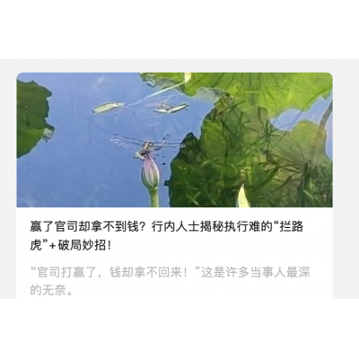 赢了官司却拿不到钱?行内人士揭秘执行难的“拦路虎”+破局妙招!
